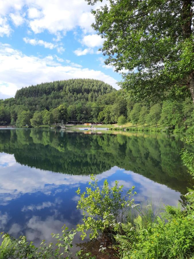 Ferien Am Maar Appartement Daun Buitenkant foto